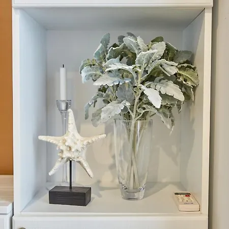 Lawyer's Alz Apartment Năvodari