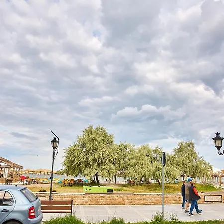 Lawyer's Alz Năvodari