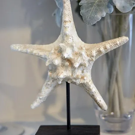 Lawyer's Alz Διαμέρισμα Năvodari