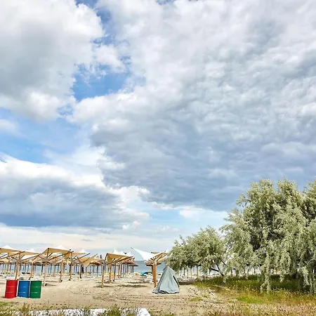 Apartment Lawyer's Alz