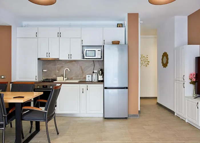 Lawyer's Alz Năvodari