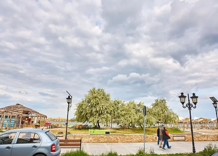 Lawyer's Alz Năvodari