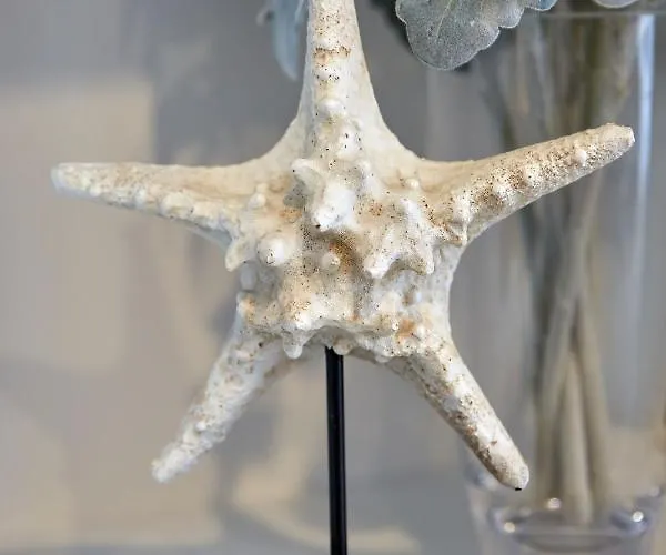 Lawyer's Alz Διαμέρισμα Năvodari