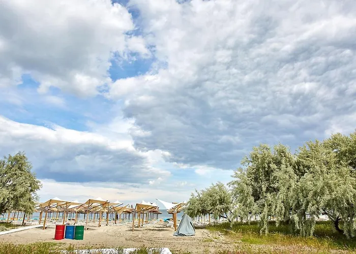 Apartman Lawyer's Alz