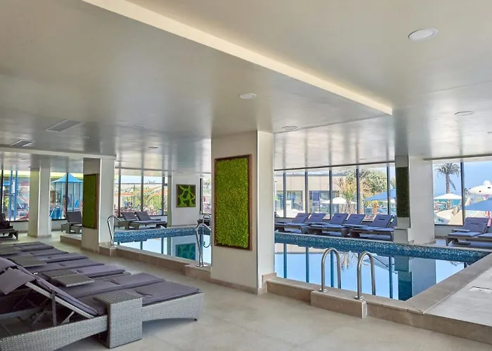 Lawyer's Alz * Năvodari